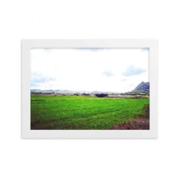 Póster Premium Campos de Menorca - Imagen 3